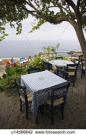 Stock Image - Branches, Cafe, Calm, Chairs, Flowers. Fotosearch
