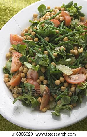 Stock Image - Chick-Pea, Close-Up, Indoors, Leaf. Fotosearch