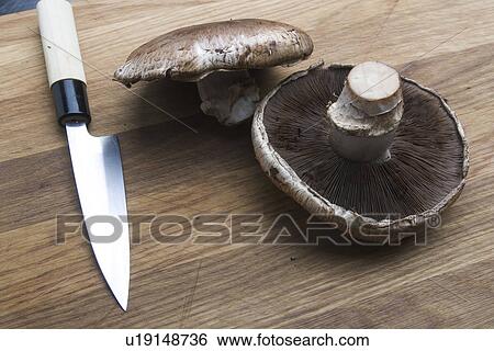Stock Photograph - Close-Up, Food, Fungus, Indoors. Fotosearch