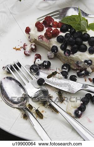 Picture - Dinning, Edible, Food, Food And Drink, Fruit. Fotosearch