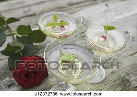 Stock Photograph - Beauty, Day, Close-Up, Beverage, Arrangement. Fotosearch