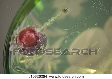 Picture - Cherry, Close-Up, Dipped, Food And Drink, Fresh. Fotosearch