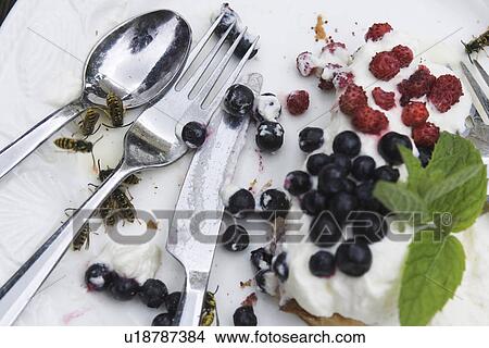 Picture - Blackcurrant, Flatware, Edible, Close-Up, Aromatic. Fotosearch