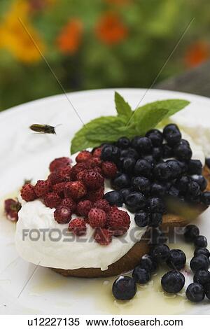 Blurred, Food, Edible, Drupes, Aromatic View Large Photo Image Stock Photography - Blurred, Food, Edible, Drupes, Aromatic. Fotosearch