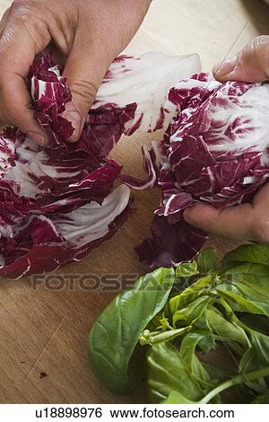 Stock Photograph - Comestible, Edible, Fleshy, Food And Drink, Food Stuff. Fotosearch