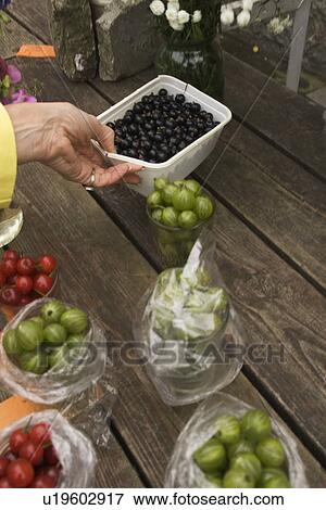 Blueberry, Cherry, Commerce, Container, Edible View Large Photo Image Stock Photo - Blueberry, Cherry, Commerce, Container, Edible. Fotosearch