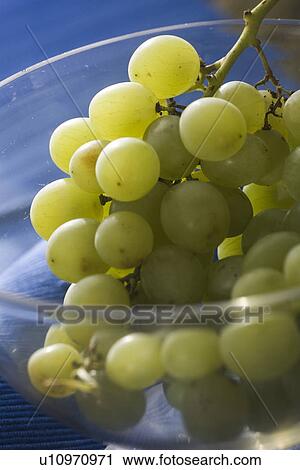 Bowl, Bunch, Close-Up, Food, Fresh View Large Photo Image Stock Image - Bowl, Bunch, Close-Up, Food, Fresh. Fotosearch