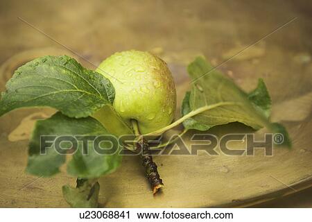 Close-Up, Comestible, Eat, Eatable, Edible View Large Photo Image Stock Image - Close-Up, Comestible, Eat, Eatable, Edible. Fotosearch