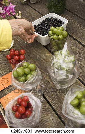 Stock Image - Commerce, Edible, Food, Fresh. Fotosearch
