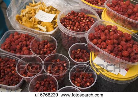 Stock Photo - Day, Fruits. Fotosearch
