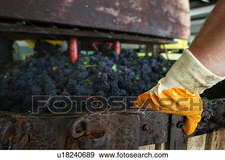 Stock Photo - machine, crushing, crushing machine, device, drum, barrel. Fotosearch