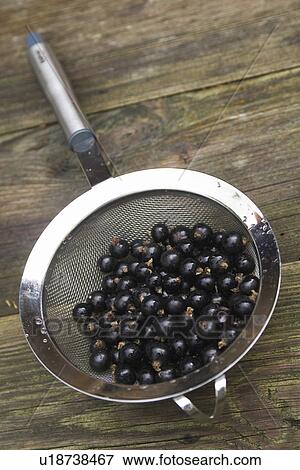 Stock Photo - Blackberry, Fresh Fruit, Food And Drink, Drupes, Abundance. Fotosearch