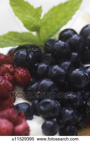 Stock Photography - Blackcurrant, Close-Up, Drupes, Food And Drink, Fresh Fruit. Fotosearch