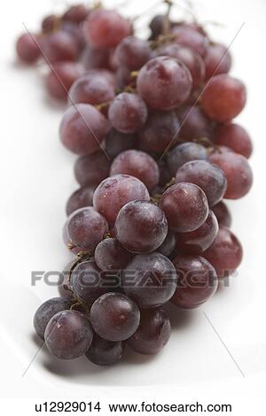 Picture - Bunch, Close-Up, Focus On Foreground, Fruit, Grape. Fotosearch