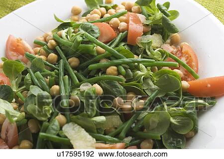 Chick-Pea, Close-Up, Indoors, Leaf View Large Photo Image Stock Image - Chick-Pea, Close-Up, Indoors, Leaf. Fotosearch
