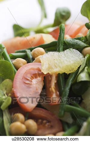 Stock Photo - Chick-Pea, Close-Up, Indoors, Leaf. Fotosearch