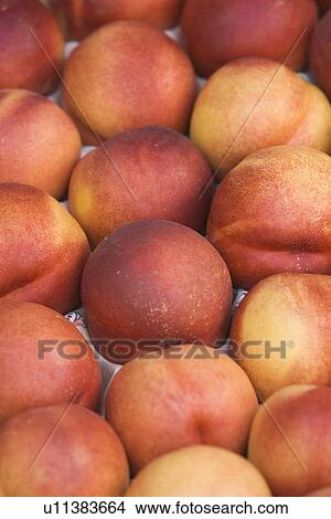 Citrus Fruit, Fruit, Food, Close-Up, Arrangement View Large Photo Image Picture - Citrus Fruit, Fruit, Food, Close-Up, Arrangement. Fotosearch