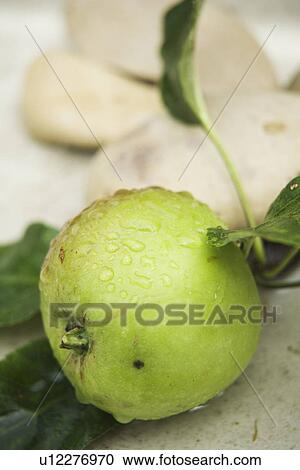 Stock Image - Close-Up, Comestible, Crop, Eat, Eatable. Fotosearch