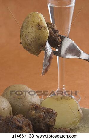 Stock Image - Eatable, Close-Up, Drink, Dish, Cuisine, Appetizing. Fotosearch