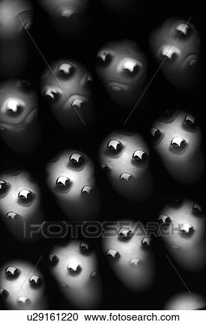 cutter, tool, shape, shadow, aluminum, aid View Large Photo Image Stock Image - cutter, tool, shape, shadow, aluminum, aid. Fotosearch
