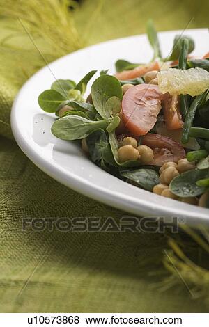 Chick-Pea, Close-Up, Indoors, Leaf View Large Photo Image Stock Photo - Chick-Pea, Close-Up, Indoors, Leaf. Fotosearch