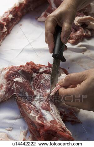 Stock Image - Close-Up, Cutting, Flank, Holding. Fotosearch