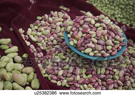 Stock Photograph - beans, legumes. Fotosearch