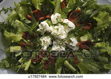 Picture - Close-up, Day. Fotosearch