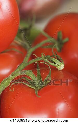 Stock Photo - Close-Up, Edible, Food, Food Stuff, Fresh. Fotosearch