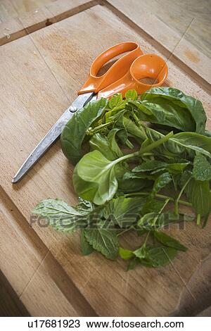Stock Image - Close-Up, Food, Foodstuff, Green Vegetables, Indoors. Fotosearch