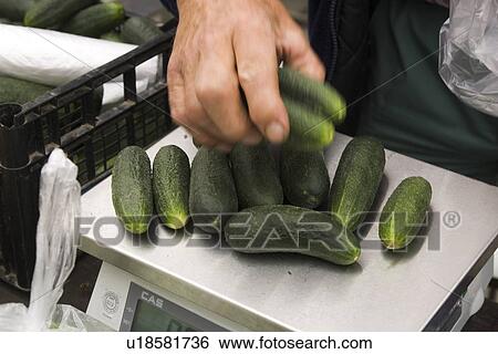 Stock Photograph - Day, Indoors, Human Hand. Fotosearch