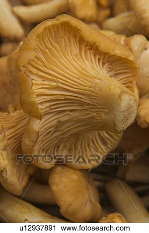 Stock Image - Day, Outdoors. Fotosearch