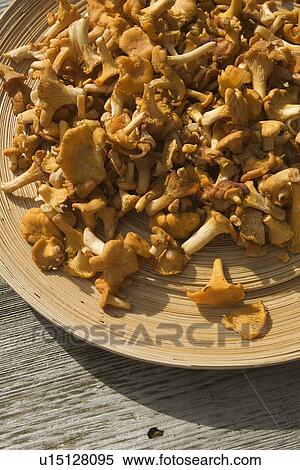 Stock Photography - Mushroom, Heap, Food. Fotosearch