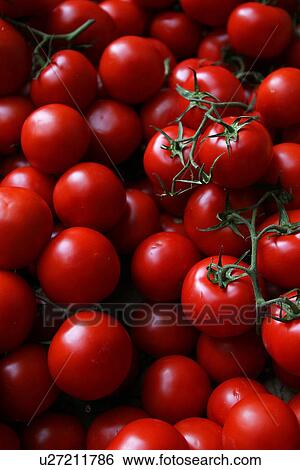tomatoes, assorted, edible, food, food stuff, grown View Large Photo Image Stock Photograph - tomatoes, assorted, edible, food, food stuff, grown. Fotosearch
