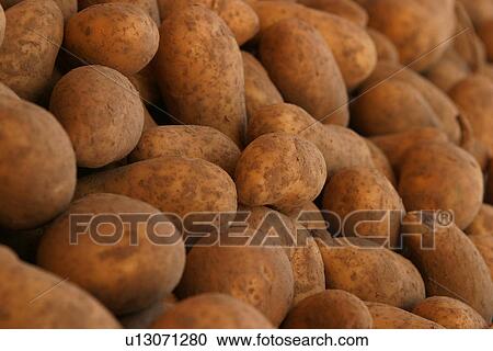 Stock Image - vegetables, potatoes, pile, heap, piled, heaped. Fotosearch