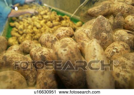 Stock Image - vegetables, potatoes, pile, heap, piled, heaped. Fotosearch
