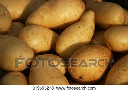 Stock Photo - vegetables, potatoes, pile, heap, piled, heaped. Fotosearch