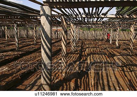 Stock Image - barricade, close-up, daytime. Fotosearch