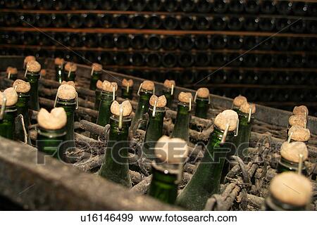 Stock Photo - bottles, wine, wine bottles, rows, shelves, array. Fotosearch