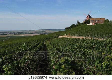 Picture - outdoor, nature, natural, environment, beauty, climate. Fotosearch