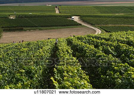 Stock Image - outdoor, nature, natural, environment, beauty, climate. Fotosearch
