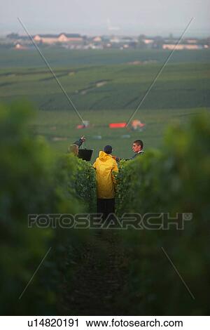 Stock Image - outdoor, nature, natural, environment, beauty, climate. Fotosearch