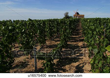 Stock Image - outdoor, nature, natural, environment, beauty, climate. Fotosearch