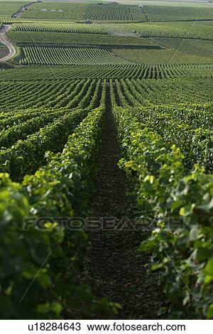 Stock Image - outdoor, nature, natural, environment, beauty, climate. Fotosearch