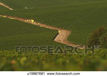 Stock Image - outdoor, nature, natural, environment, beauty, climate. Fotosearch