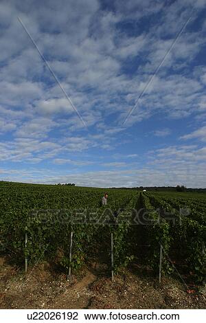 Stock Image - outdoor, nature, natural, environment, beauty, climate. Fotosearch