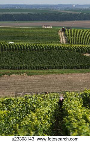 Stock Image - outdoor, nature, natural, environment, beauty, climate. Fotosearch