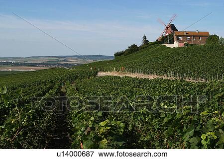 Stock Photo - outdoor, nature, natural, environment, beauty, climate. Fotosearch