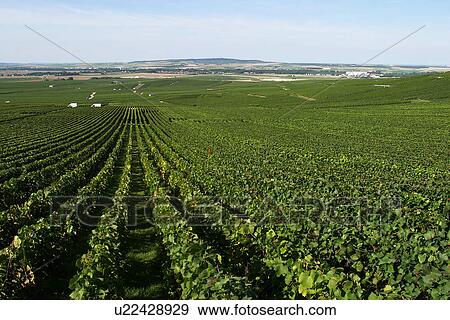 Stock Photo - outdoor, nature, natural, environment, beauty, climate. Fotosearch