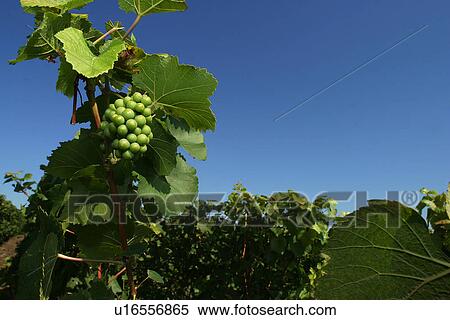 outdoor, nature, natural, environment, climate, condition View Large Photo Image Stock Photography - outdoor, nature, natural, environment, climate, condition. Fotosearch